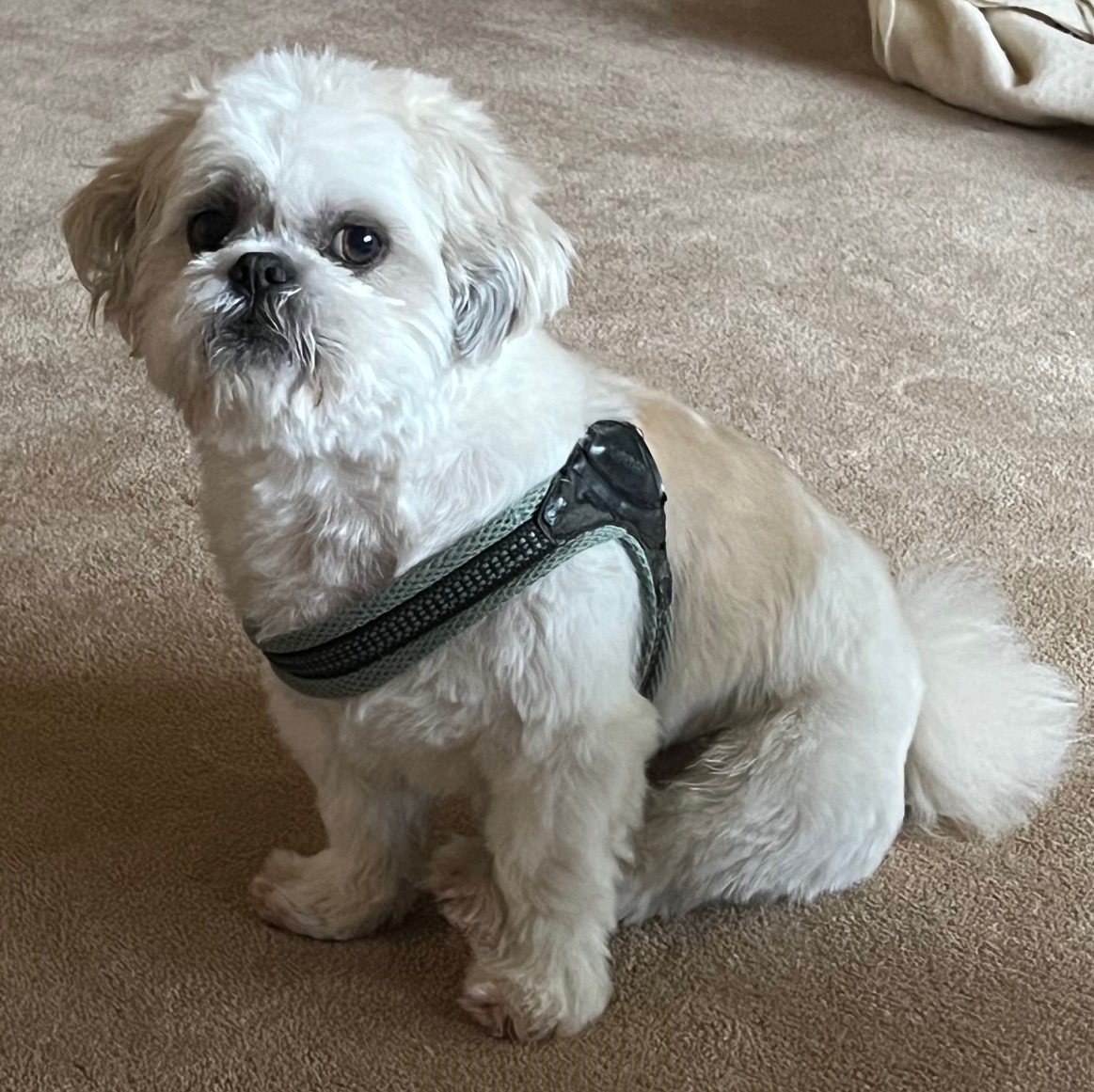 Bay Treasure Chest tweet media