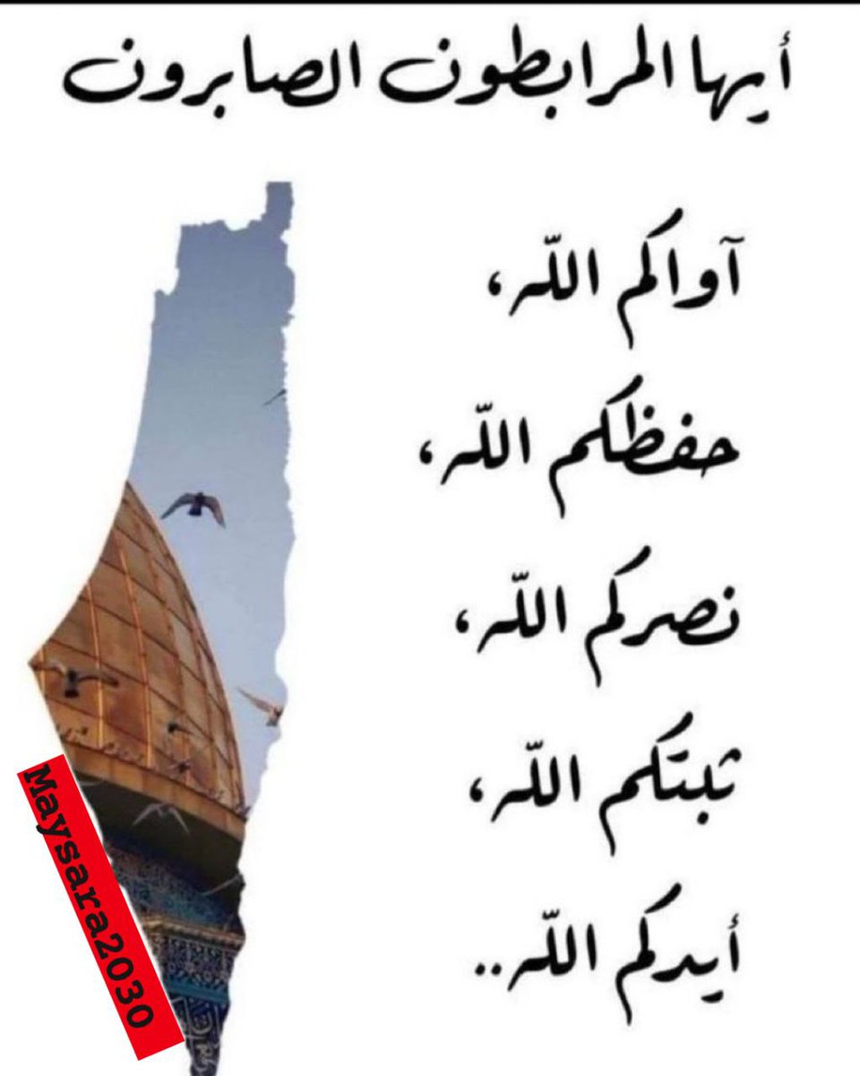 مني المصري (@monaelmassry25) on Twitter photo 