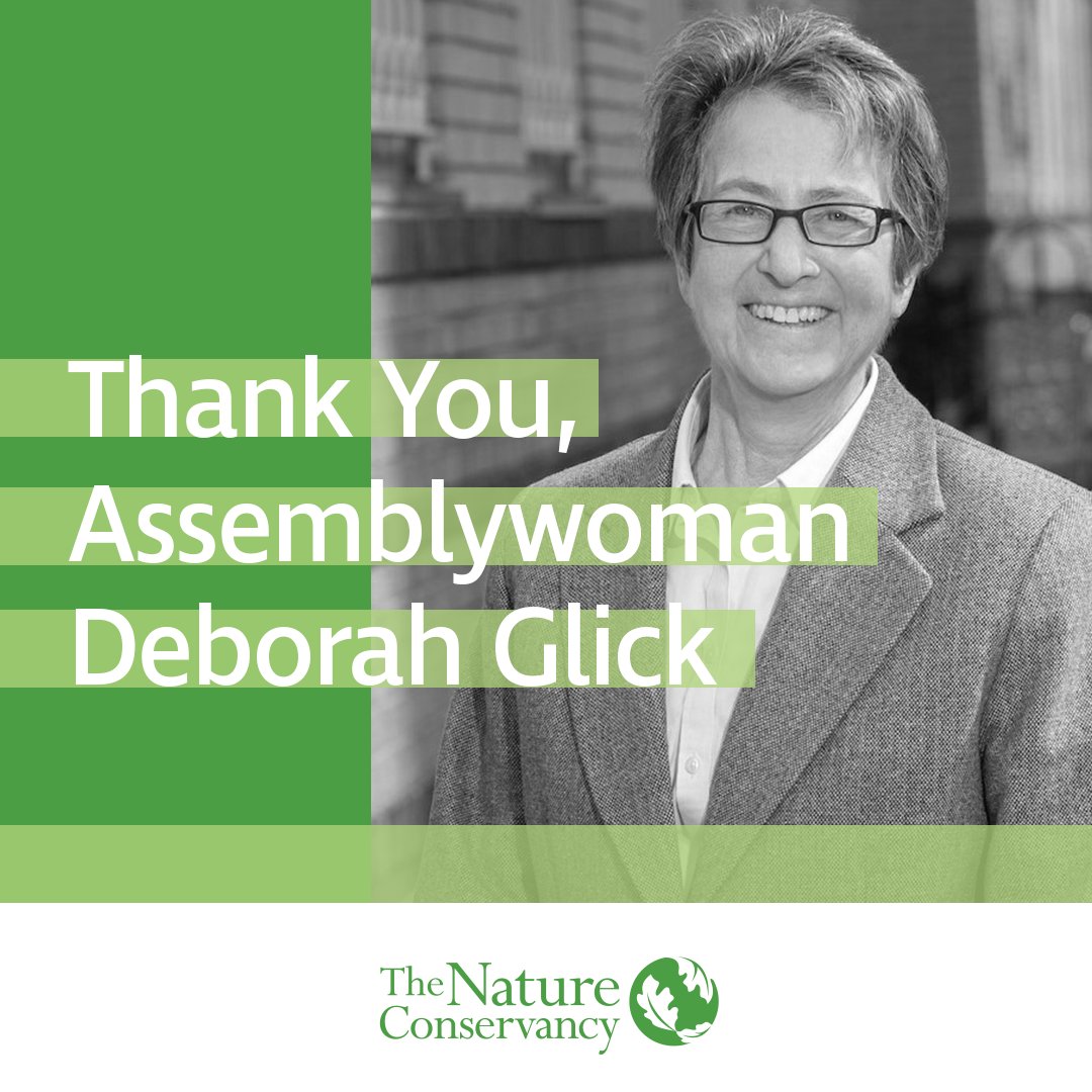 Thank you @DeborahJGlick for your leadership in restoring funding for environmental programs and clean water projects in the @NYSA_Majority's one-house budget proposal! Every New Yorker depends on clean water and a healthy environment.