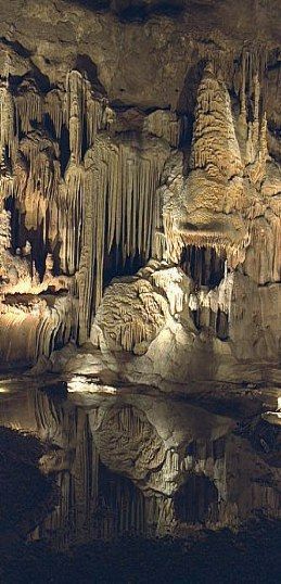 "Carlsbad Caverns" was SO awesome going through...love this reflection and the stalactite and stalagmite formations!! dlvr.it/T42P20