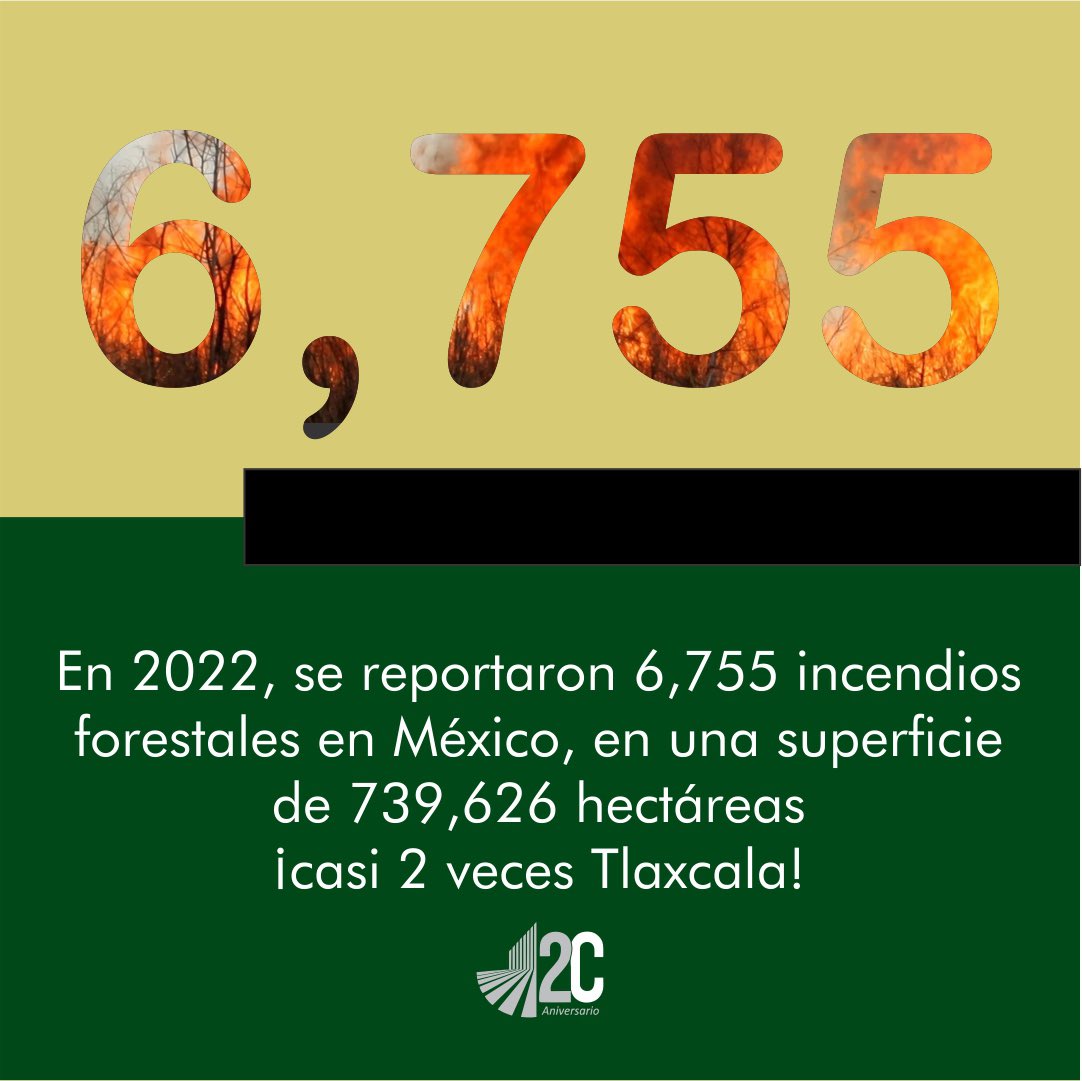 CEDRSSA's tweet photo. Todos vivimos los estragos del cambio climático y cada vez es más común ver noticias de grandes áreas forestales devoradas por las llamas.
¿Qué relación tienen la sequía y los incendios forestales?
Aquí te contamos. 
Con información de @CONAFOR https://t.co/T63UKUZ5i0