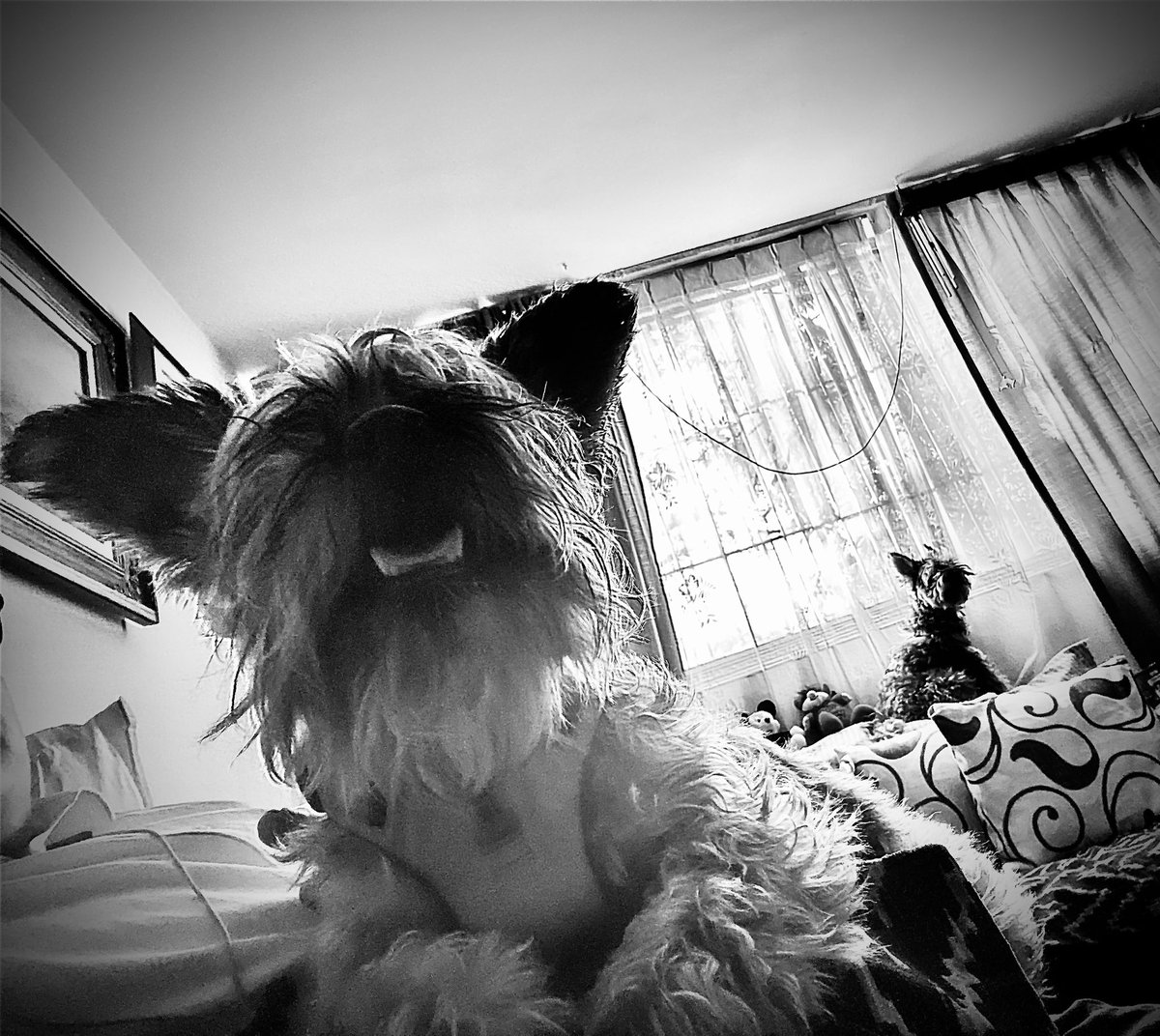 Chema Rojo tweet media