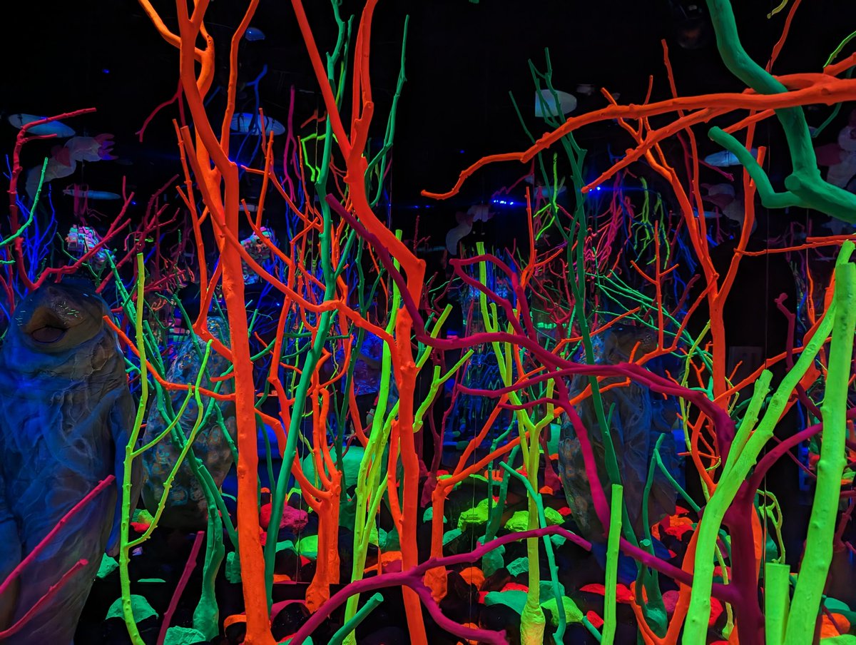 CinemaShiba's tweet photo. Had to head out and do #MeowWolf today before TFF starts!!!! Such an amazing experience and I definitely need to go back!!! And also need to do all their other locations now LOL https://t.co/qoo1BKfdRx