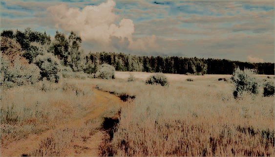 —𝐀𝐈𝐘𝐀𝐍𝐀. tweet media