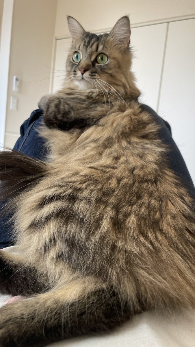 ジーンズ好きロキ様