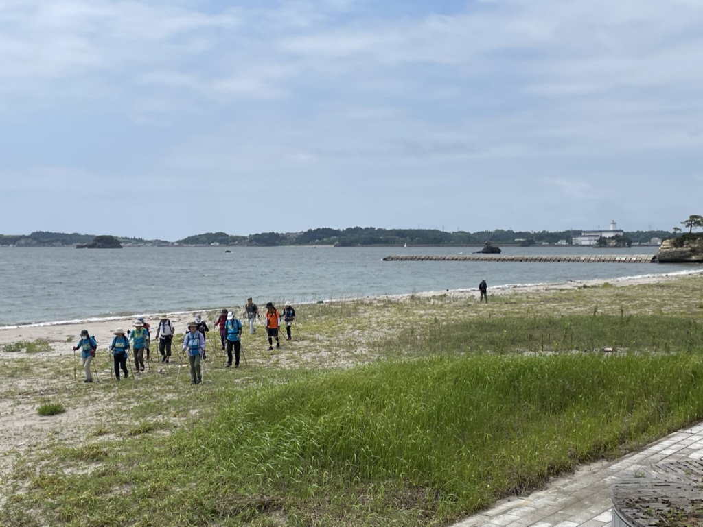 norumatsu's tweet photo. ノル松ノルディックウォーキングフィールドのひとつ「塩竈市浦戸諸島(宮城県)」。島と島とを結ぶ無料の渡船に乗って島々を巡るのも楽しいんです。 https://t.co/OGc2Afyh8w