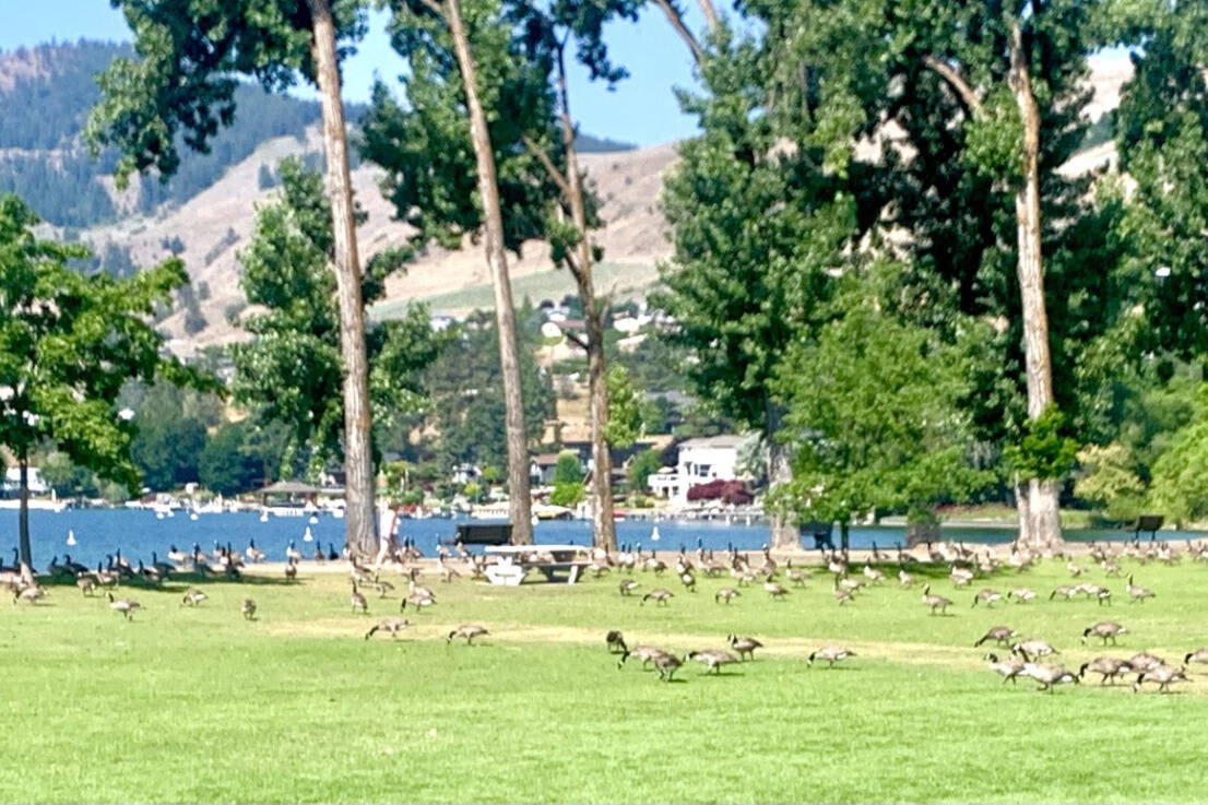 Lake Country Calendar tweet media