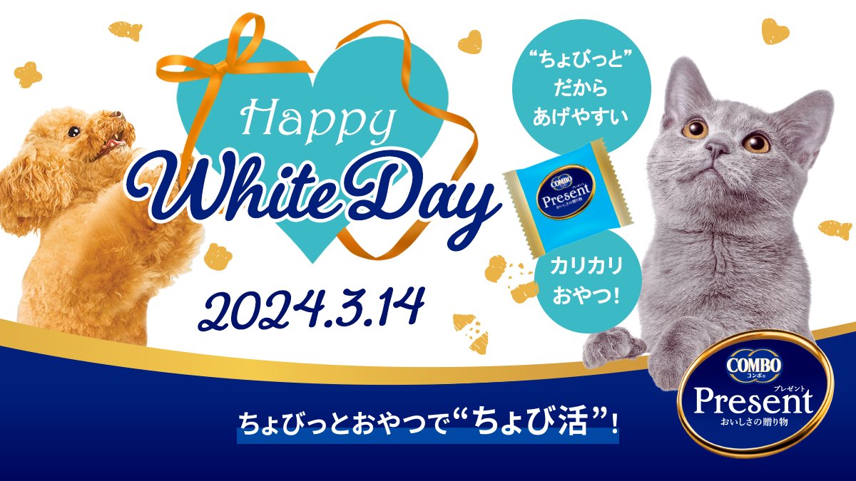【今日はホワイトデー🤍】 みなさん、今日はホワイトデーです！ 実は日本発祥のイベントって知ってましたか？ 1970年代に始まり、今ではアジア圏に浸透しているイベントのようです✨ みなさんの大事な家族に、 日頃の感謝を込めて何かプレゼントしてはどうでしょう🐶😺？ #ホワイトデー