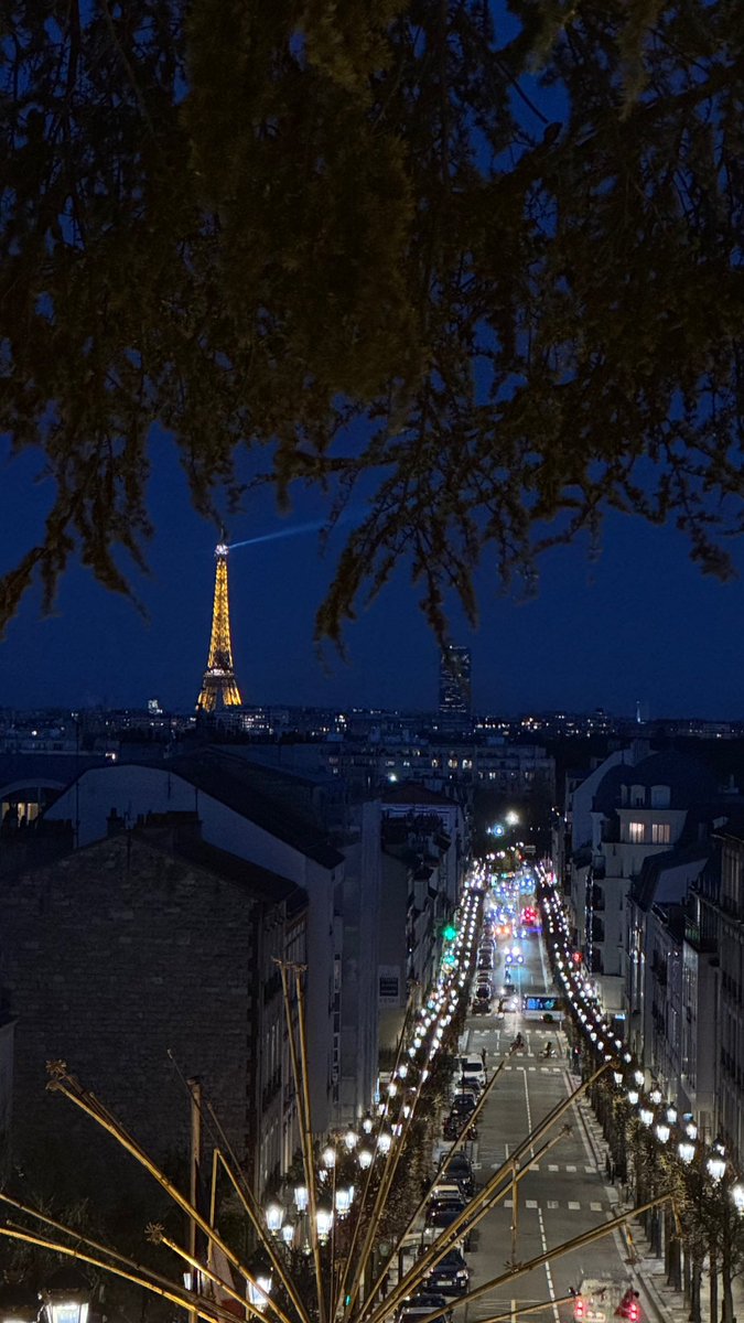 isabeldancess's tweet photo. oui https://t.co/vz6ZS78yK6