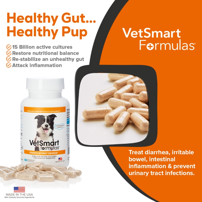 getvetsmart's tweet photo. 😟 Irritable Bowels
💩 Diarrhea
🦠 Urinary Tract Infections
❌ Intestinal Inflammation

💯 natural and can be taken along with other supplements.