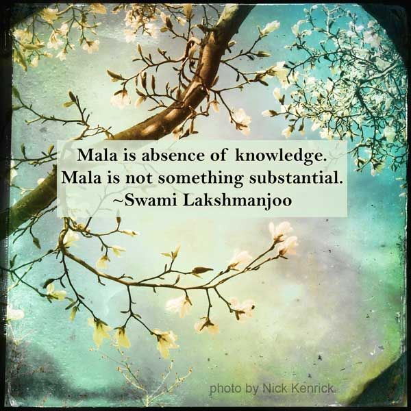 What are Malas (Impurits) in Kashmir Shaivism - Tantraloka lakshmanjooacademy.org/blog/what-are-…

#KashmirShaivism
#trika
#meditation
#spiritualPractice