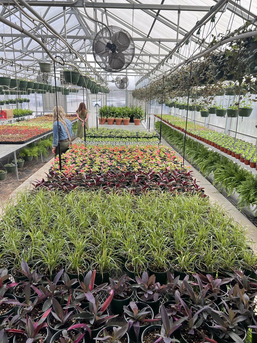 Candi Collier 🏃‍♀️ tweet media