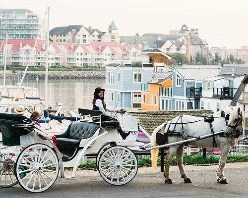 Matt Dell tweet media