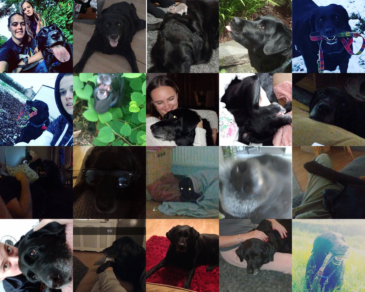 FfionRendall tweet media