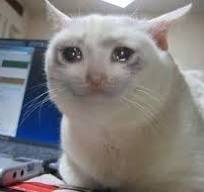 Kingsbridge👑 tweet media