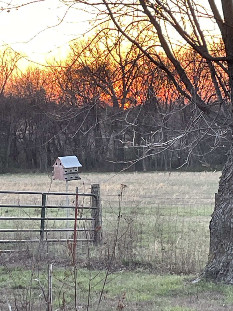 MargiCulp's tweet photo. Tonight’s sunset brought to you from #DaFarm https://t.co/octu1XIwRh
