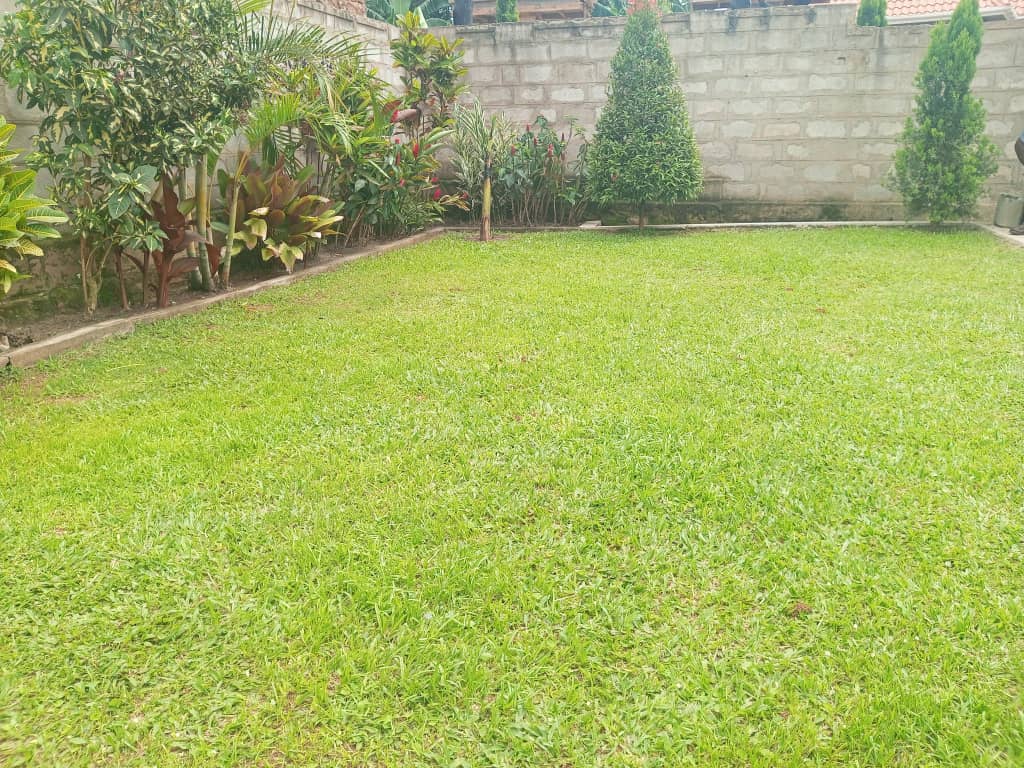 shukranproperty's tweet photo. KITENDE ON ENTEBBE ROAD.
HOUSE 🏠  FOR SALE Asking Price - #160Millions.
#3Bedrooms sitting &amp; Dinning, #2bathrooms Inside and outside pit latrine plus #2boy's quarters. With Ready Land Tittle.
For Viewing: Call 0706592177
BOBI museven ntare #UgandaParliamentExhibition https://t.co/vF7WYsBQ5P