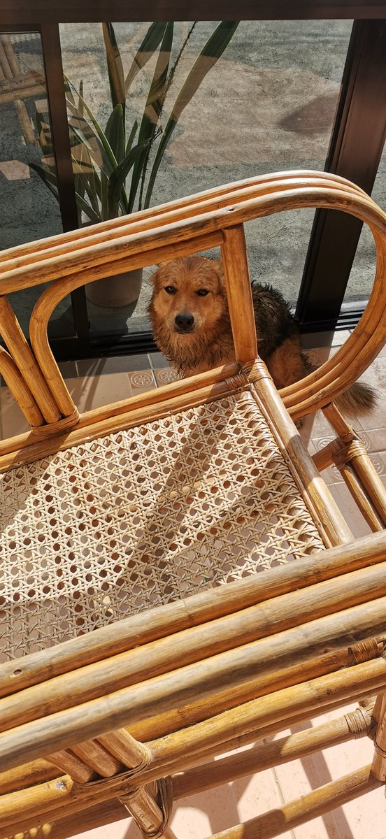 anjiebong's tweet image. For everything, All credit to God. 💞😍🙌 #itmatters #holisticwellness #Brewed