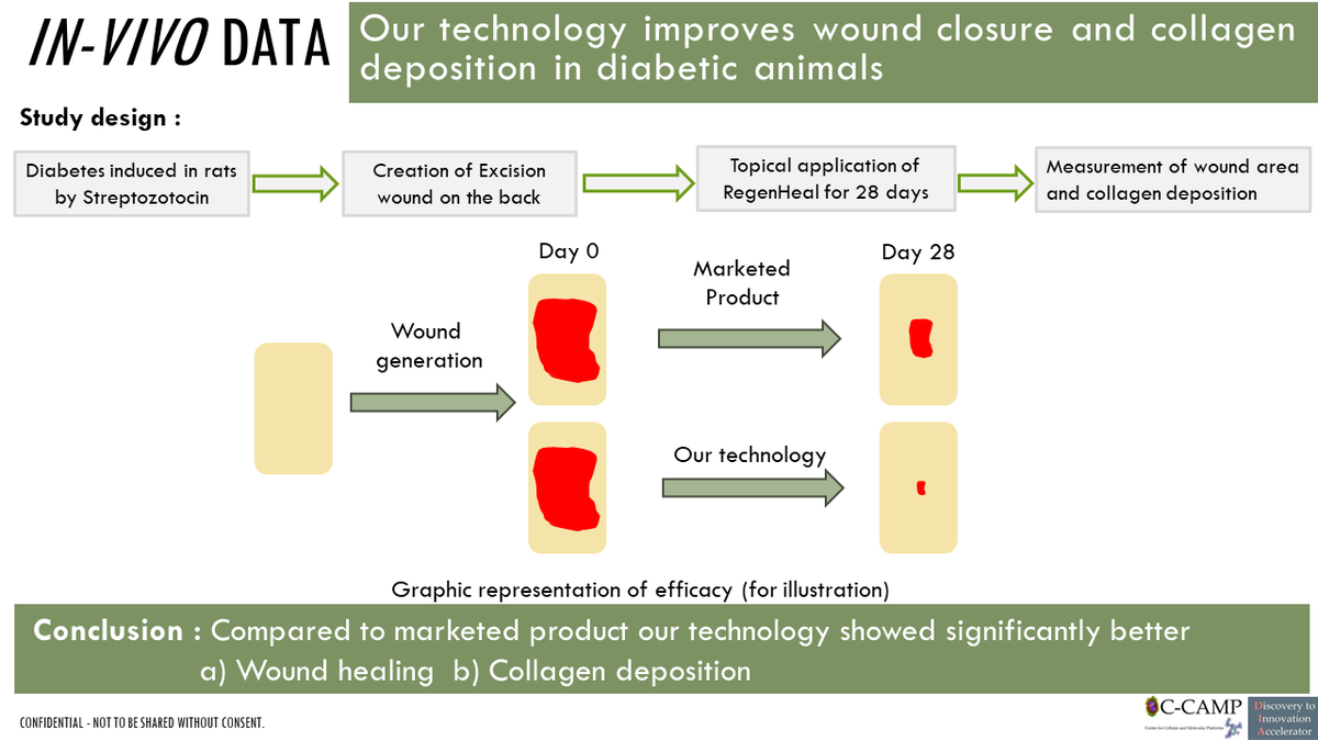 CCAMP_India's tweet photo. #TechforLicensing Researchers at CCAMP in collaboration with @DBT_CDFD Hyderabad have successfully developed and tested in mice a novel topical formulation RegenHeal that shows significantly accelerated complex wound healing through promoting regeneration of tissues.
The Problem: The risk factor for complex foot ulcers is as high as 15-25% in diabetic patients as per a global study conducted in 2018. Efficient wound healing is a major challenge in case of Diabetic wounds/ foot ulcers, Pressure ulcers, Venous leg ulcers. Impaired wound healing greatly impacts physical, psychological, social, and economic aspects for patients, affecting their quality of life, even calling for amputations in certain difficult cases.
Current Scenario: Frequent surgical debridement, antibiotic dressings, or recombinant growth factor injections are the solutions employed now. All have limitations ranging from requirement of skilled medical personnel, secondary antimicrobial resistance, low efficacy and high cost.
RegenHeal's performance: On a head to head with a marketed product, in vivo data showed that the 2 proprietary components of RegenHeal have significantly better
a) Wound healing
b) Collagen deposition in diabetic animals.
We believe it will also be useful for treatment of other complex wounds like pressure ulcers and burns.
We are inviting licensing interests. To know more, please reach out to the C-CAMP Office of Technology Transfer (#OTT): 📧 ott@ccamp.res.in
📞080 6718 5322
@Taslimarif @DBTIndia @PrinSciAdvOff @kris_sg @BIRAC_2012 @Convatec @MDT_Diabetes @cardinalhealth @SmithNephewPLC @integra_life @JNJNews @MiMedx @Coloplast_WCare @orgoholdingsinc @3M