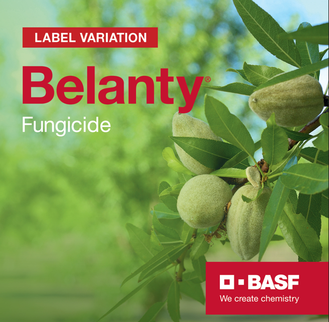 BASF Agricultural Solutions Australia tweet media