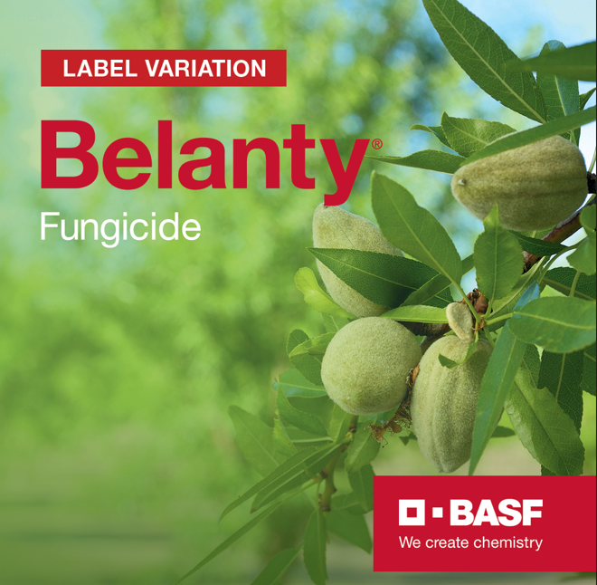 Good news for Almond exporters! Belanty® fungicide, Maximum Residue Limit (MRL) change means that if you apply Belanty, before the stage 2b- 1% hull split, you will achieve a zero residue in almond crops. Find out more: basf.link/_Belanty