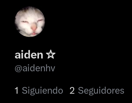 aidenhv's tweet photo. especial 2 seguidores letsgoooo🔥 https://t.co/uioXdCslGw