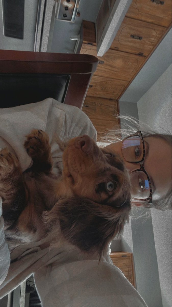 ugc_maddy's tweet photo. Ween 🐶 https://t.co/Flk4HgUt9a