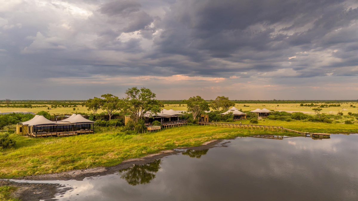 Daunara Safari Camp,Okavango Delta. New camp Alert ‼️