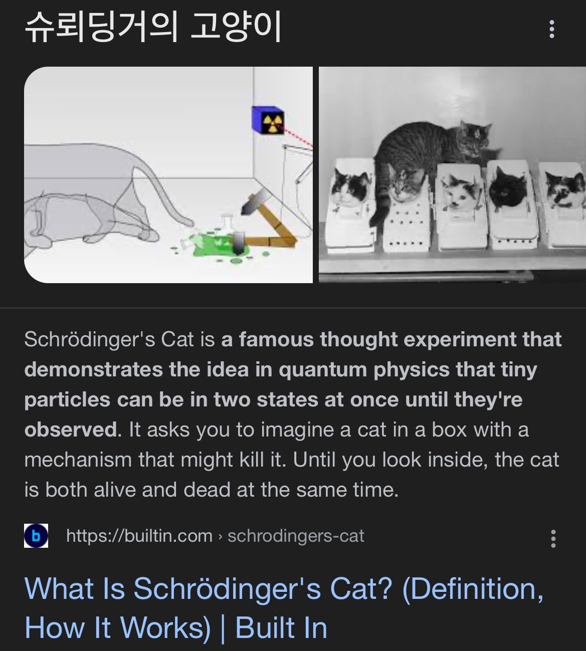 What Is Schrödinger's Cat? (Definition, How It Works)