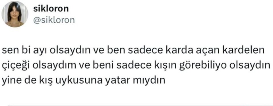 cagkebapp's tweet photo. bazı kardelenler çok şanslı https://t.co/UwHPxjqLjW