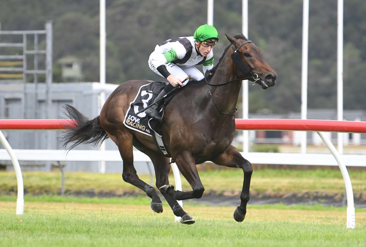 nzracingnews's tweet photo. NEWS: @pikeracingnz are feeling positive ahead of #WitzEnd stepping out in Saturday's Gr.2 Life Direct Wellington Guineas.
https://t.co/8tPrdGxTU1 https://t.co/A3gCkjvjr8