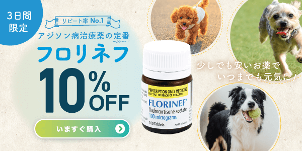 犬のアジソン病薬『フロリネフ』 1錠 ¥39〜でお得SALE? 1瓶に100錠 