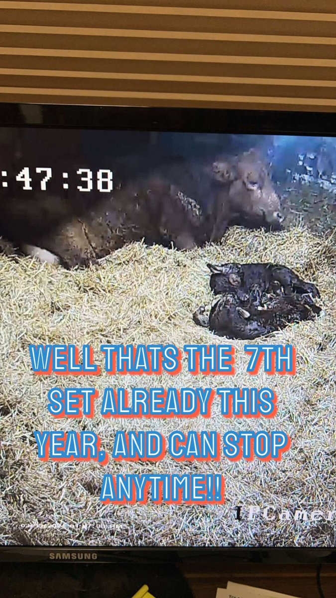 Trevor Blair (@trevorblair12) on Twitter photo 