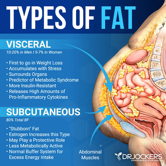 Visceral fat produces inflammatory cytokines associated with:

- Insulin resistance

- Type 2 diabetes

- Hypertension

- Atherosclerosis 

- Cardiovascular disease

- Liver disorders