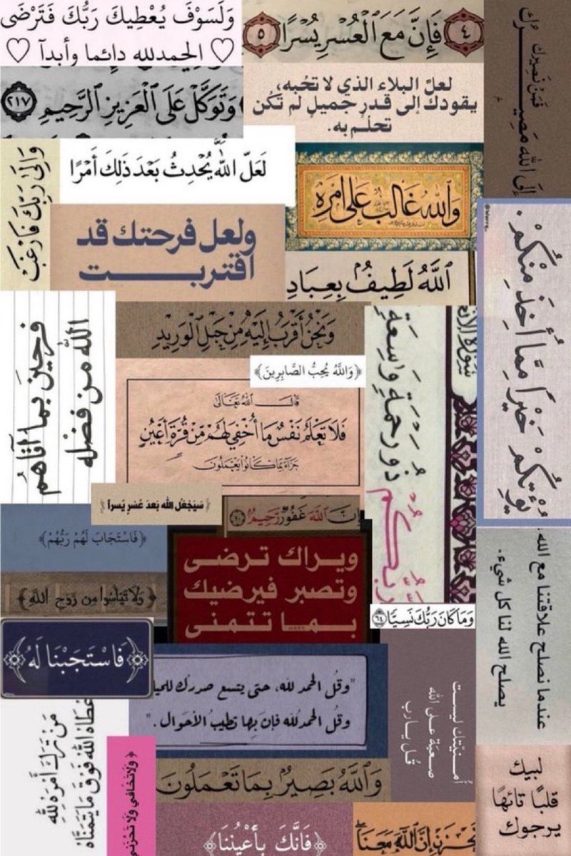 مـوطــن tweet media