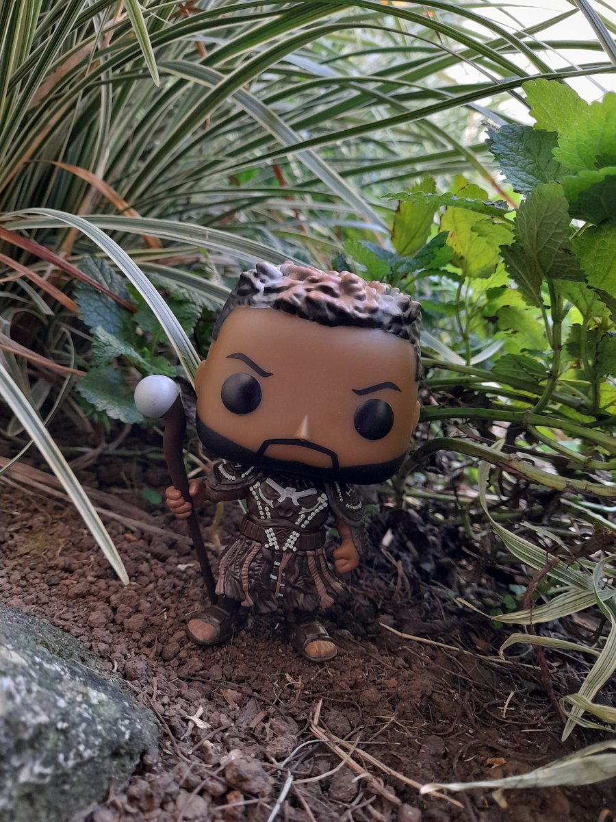 Sergioo506's tweet photo. #MBaku
#BlackPantherWakandaForever #PanteraNegraWakandaPorSiempre #Pop! #Marvel #BlackPanther #PanteraNegra #PopMarvel #MarvelStudios @funko @MarvelStudios @Marvel https://t.co/fnwqgMEnsE