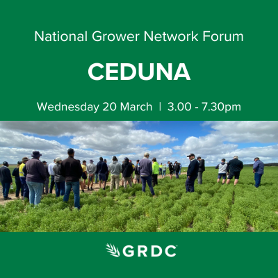 🌟NEXT WEEK🌟

National Grower Network forum
CEDUNA, SA
20 March, 3-7.30pm

Eyre Peninsula grain growers, advisers &amp; industry stakeholders are invited to provide input to GRDC's RD&amp;E investments. 

👉Register now: bit.ly/3TaTQOa

<a href="/AgCommunicators/">AgCommunicators</a> <a href="/ag_eyre/">Ag Innovation & Research Eyre Peninsula</a>