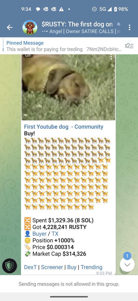 Rustyon_sol's tweet photo. 🦴 $RUSTY can eat for days with this one.

This is just the beginning my friend. I'll pay it back at least 10x. 

Got to catch up to that cat. @TheYoutubeCat https://t.co/iGLxKfTTUu