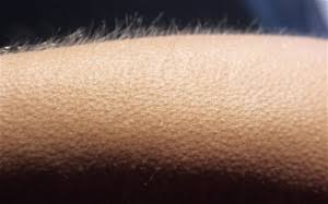 VillasenorC_'s tweet photo. La llegada de Mozo al Azteca cantando NO ME PIDAS QUE NO VUELVA A INTENTAR🥹🥹🥹
(arrancármelo - Wos)

VAMOS CHIVAS!!❤️🤍 https://t.co/Gh6p6GD5Rm
