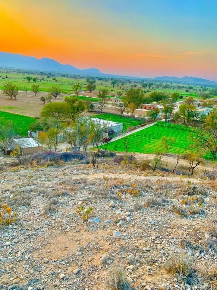 Good morning 🌄
Everyone