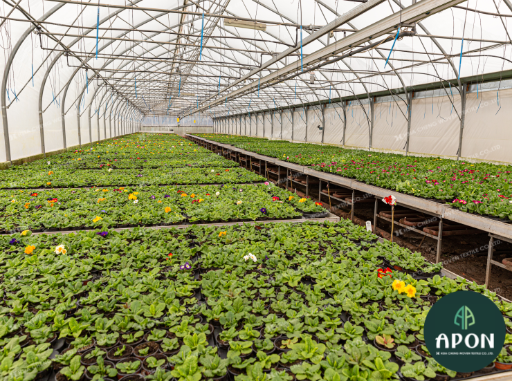 hsiachengvn's tweet image. Hoa anh thảo ngập tràn màu sắc trong khu vườn. Vì mang lại hiệu quả y dược cũng như giá trị kinh tế cao này, hoa được chăm sóc kỹ lưỡng bên trong lớp lưới chắn côn trùng chống tiaUV để tối ưu môi trường sinh trưởng cho hoa.
#insectnet #luoichancontrung