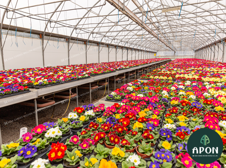 hsiachengvn's tweet image. Hoa anh thảo ngập tràn màu sắc trong khu vườn. Vì mang lại hiệu quả y dược cũng như giá trị kinh tế cao này, hoa được chăm sóc kỹ lưỡng bên trong lớp lưới chắn côn trùng chống tiaUV để tối ưu môi trường sinh trưởng cho hoa.
#insectnet #luoichancontrung