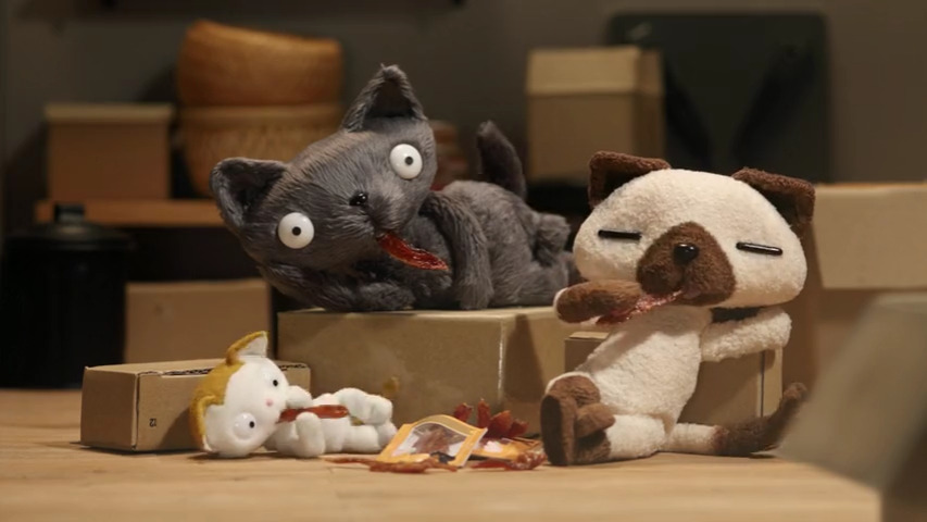 Stop-Motion Cats