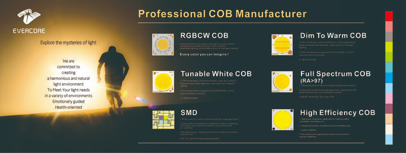 💡 1. High lumens COB 
💡 2. Super high-efficiency K90 series
💡 3. CCT tunable COB
💡 4. Dim to Warm COB
💡 5. RGBCW COB 1000K~20000K tunable
💡 6. Sunlike full spectrum COB SG4 series
💡 7. Ceramic 3535/4040/5050/5060
All our products are LM-80 certified