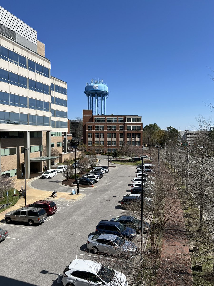 Brother, spring is just around the corner. <a href="/UNCWaterTower/">UNC Water Tower</a>