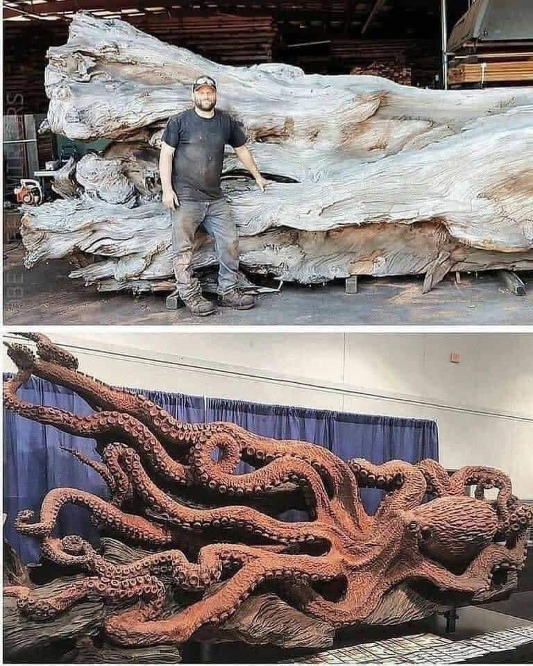 The expert chainsaw cutter Jeffrey Michael
Samudosky used part of a dead sequoia to create his incredible octopus' sculpture. 
JMS wood sculpture