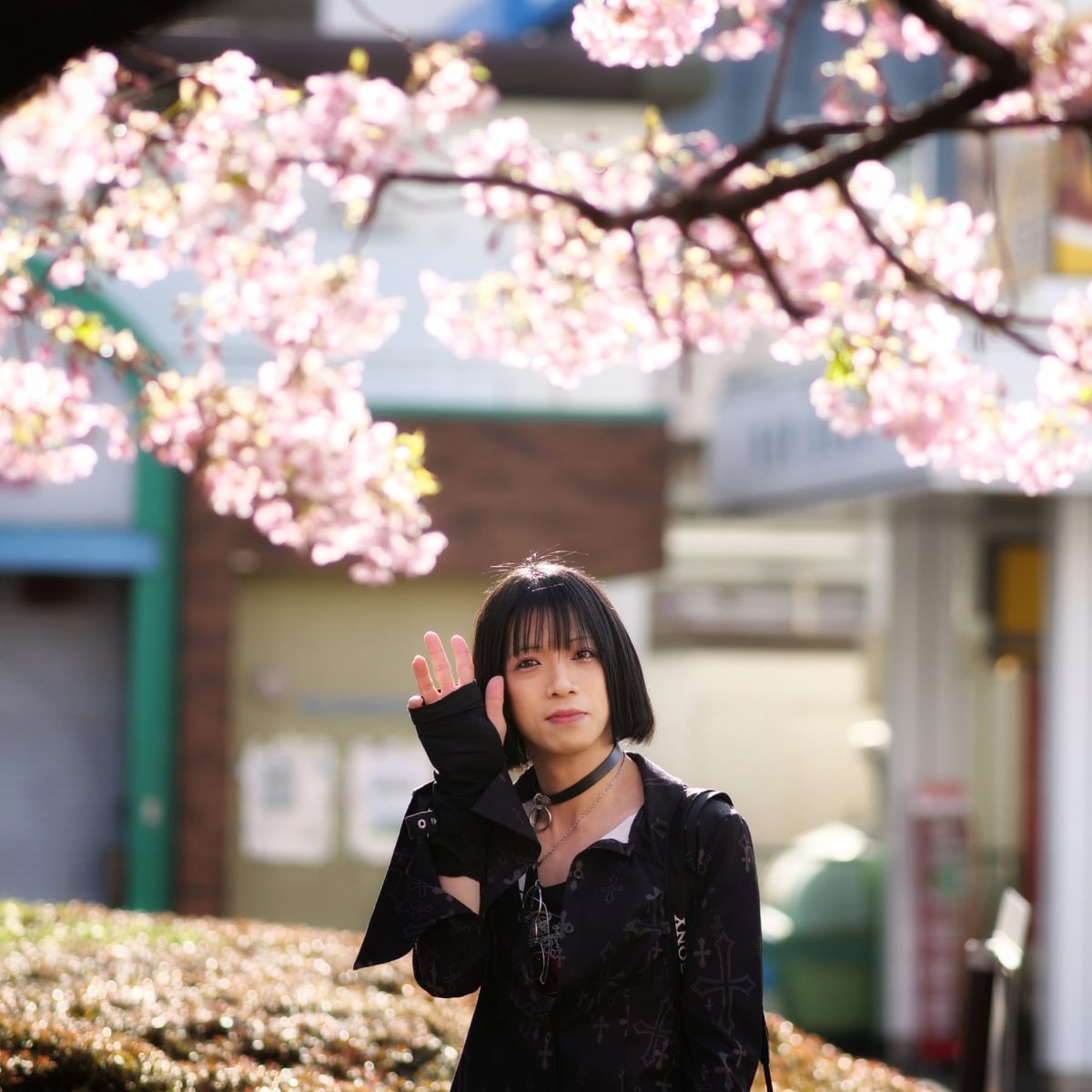 3月前半ですが、桜さんは少々あわてんぼうのようです

#DCG9 #75mmf18 #福生駅

📸@Yuki_A_major