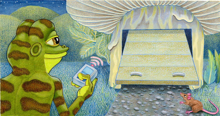 basedhoppy's tweet photo. $HOPPY is getting ready to start his adventure 🐸✨ https://t.co/wlZOqecD93