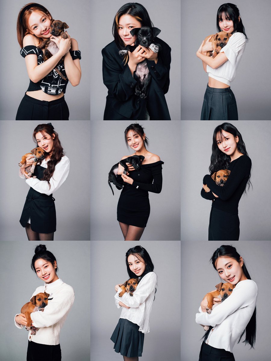 godmitzu's tweet photo. 9WICE WITH BUZZFEED PUPPIES 🥹🥹 https://t.co/3d4WxBveBJ