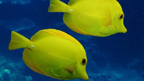 luciana medina tweet media